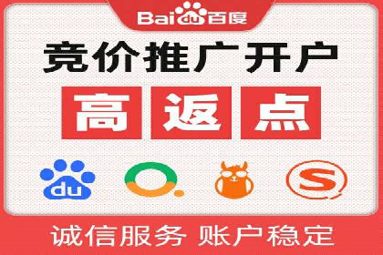 百度推广实战：案例分享与效果评估